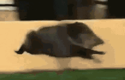 Логотип завода-долбильни им. Кабана Кабаныча