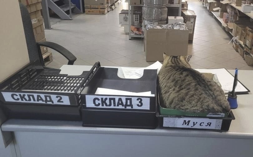 Стеллаж с оснасткой